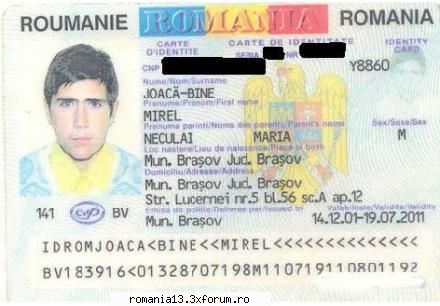 buletin